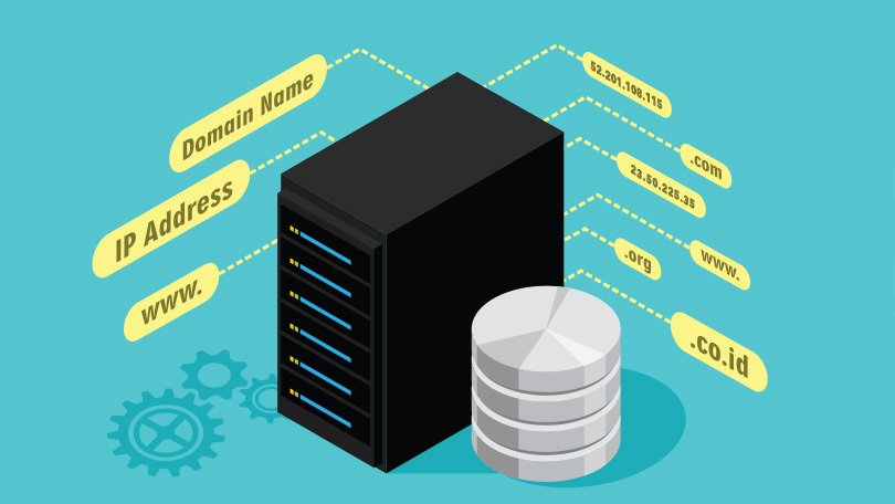 Port Enumeration – 53/DNS